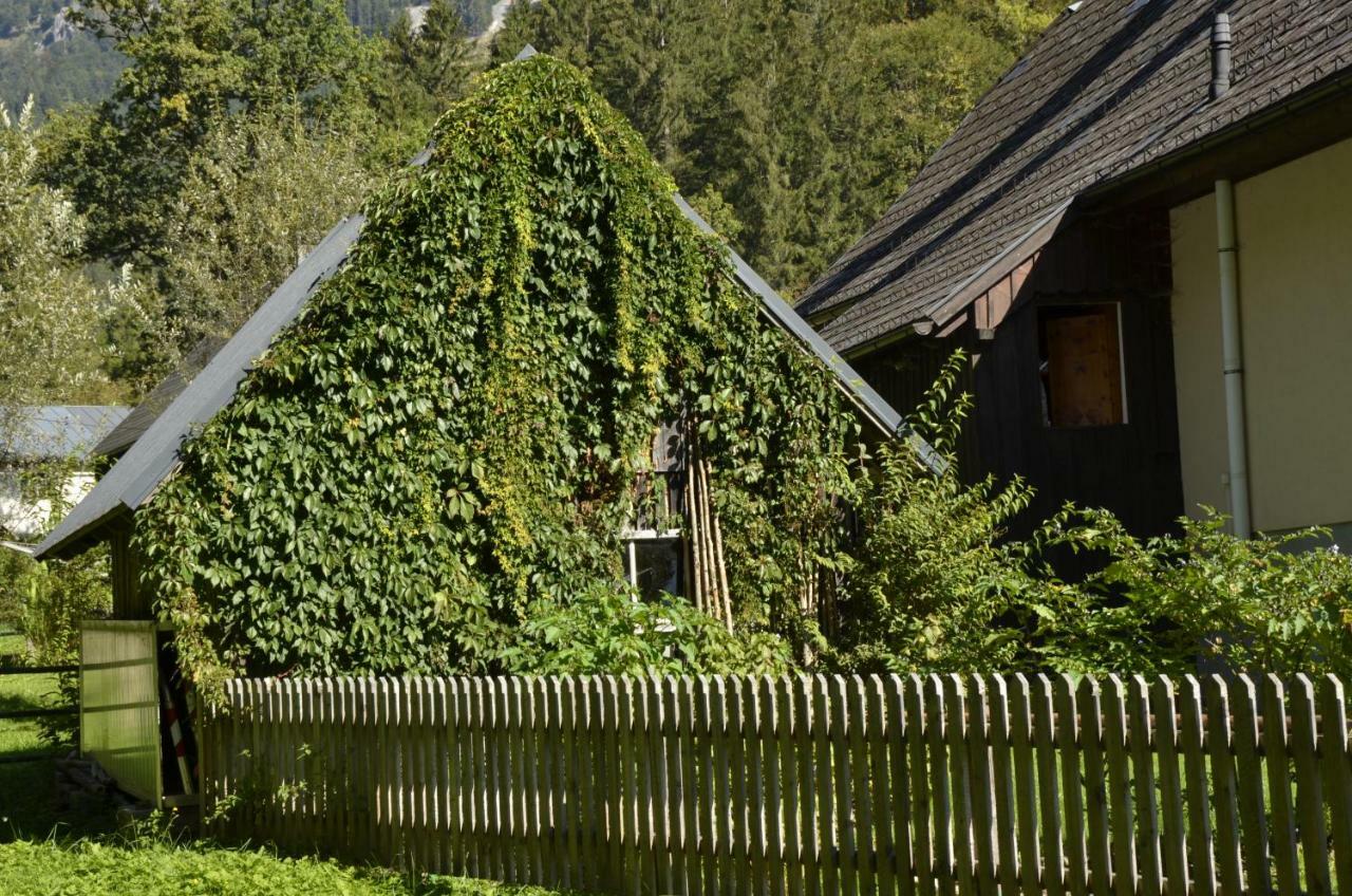 Haus Rosina Villa Admont Exterior foto